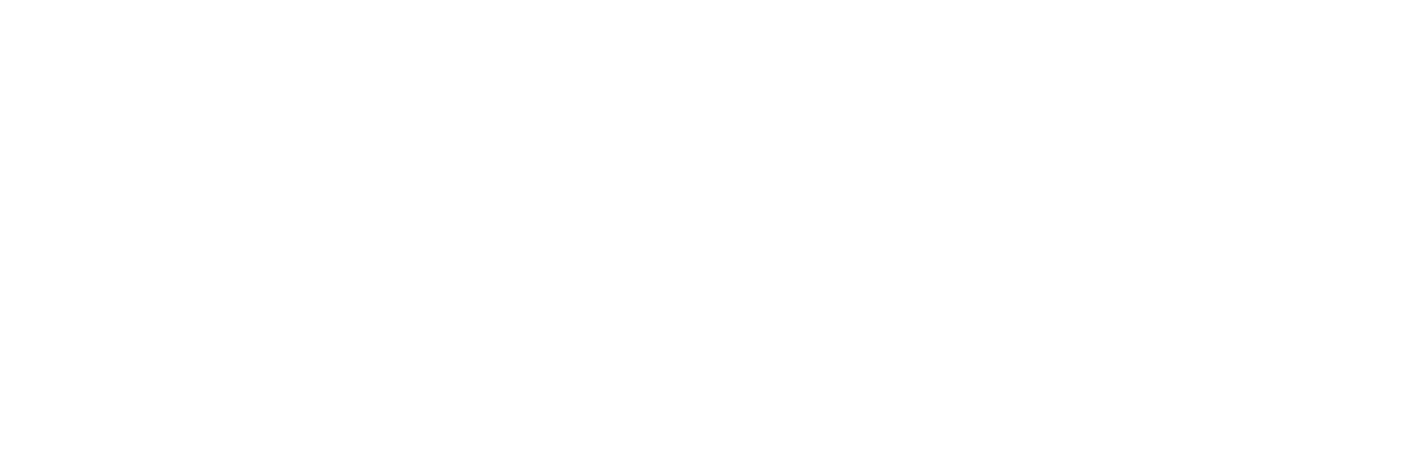 Logo Anne Bauer-Stein_Blanc